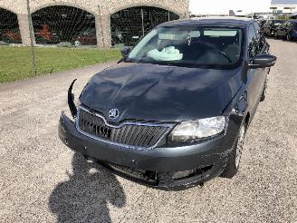 Skoda Rapid 1.0 picture 27