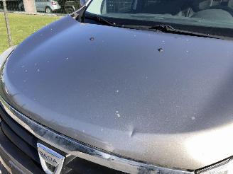 Dacia Lodgy 1.2 TCE picture 21