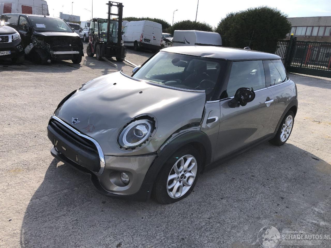 Mini One 1.5