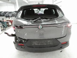 Alfa Romeo Tonale 1.6D picture 6