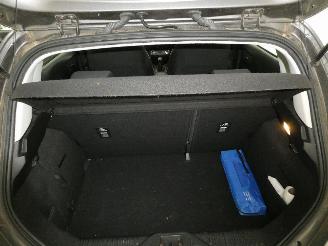 Ford Fiesta BUSINESS picture 15