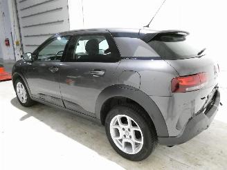Citroën C4 CACTUS picture 4