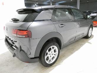 Citroën C4 CACTUS picture 11