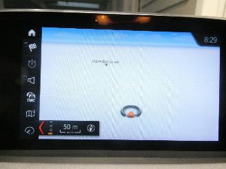 BMW X2 SDRIVE18I picture 20