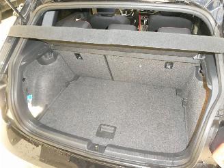 Volkswagen Polo GTI picture 22