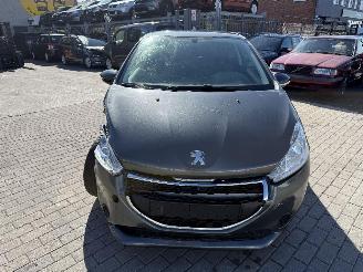 Peugeot 208 1.4 HDI picture 2