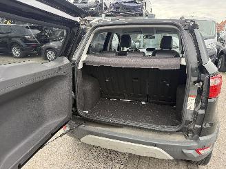 Ford EcoSport 1.0 TITANIUM picture 11
