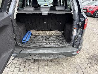 Ford EcoSport 1.0 TURBO picture 8