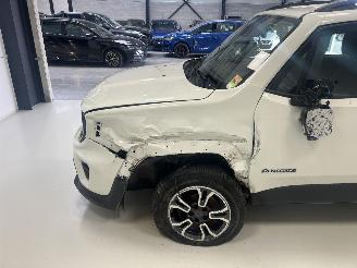 Jeep Renegade  picture 6