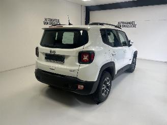 Jeep Renegade  picture 3