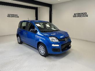 Voiture accidenté Fiat Panda  2025/2