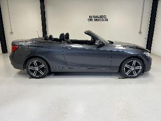 skadebil auto BMW 2-serie SPORTLINE AUTOMAAT 2019/3