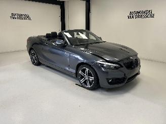 škoda osobní automobily BMW 2-serie SPORTLINE AUTOMAAT 2019/3