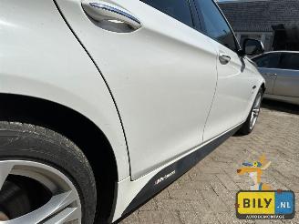 BMW  F10 518D Alpinewiess 3 picture 8