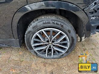 BMW X1 U11 xDrive30e picture 12