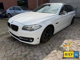Autoverwertung BMW 5-serie BMW F11 520XD B47D20 Alpineweiss 3 2014/1