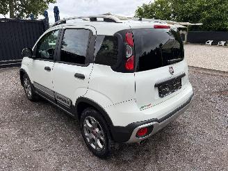Fiat Panda CROSS picture 14