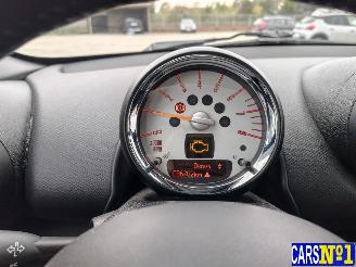 Mini Paceman  picture 13
