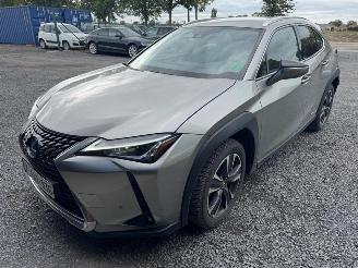 Avarii autoturisme Lexus UX  2022/9