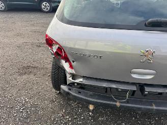 Peugeot 307  picture 14