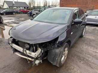 damaged passenger cars Opel Grandland X 2019/6