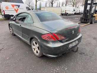 Peugeot 307 CC picture 7