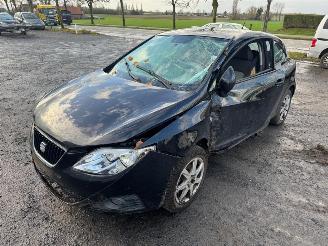 Schadeauto Seat Ibiza  2009/9