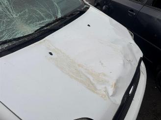 Ford Transit CONNECT TREND picture 3