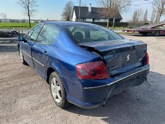 Peugeot 407  picture 6