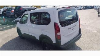 Peugeot Rifter Rifter (ER/EC/EZ), MPV, 2018 e-Rifter picture 2