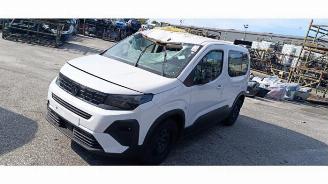 disassembly passenger cars Peugeot Rifter Rifter (ER/EC/EZ), MPV, 2018 e-Rifter 2025