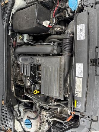 Seat Leon 1.4 TSI 16V Hatchback 4Dr Benzine 1.390cc 90kW (122pk) FWD 2012-09/2013-06  CMBA picture 22