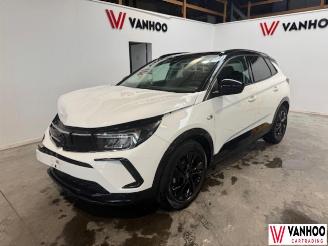 Schadeauto Opel Grandland X 2023/8