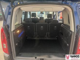 Citroën Berlingo  picture 6
