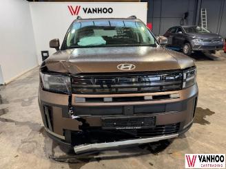 Hyundai Santa Fe FE picture 2