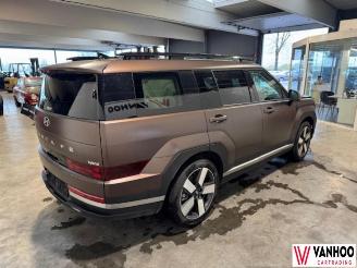 Hyundai Santa Fe FE picture 6