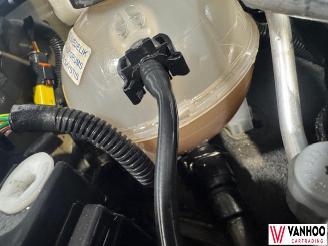 Peugeot 308  picture 8