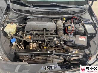 Kia Rio  picture 9