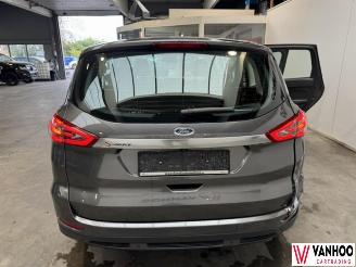 Ford S-Max  picture 6