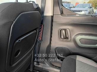 Citroën Berlingo XTR picture 11