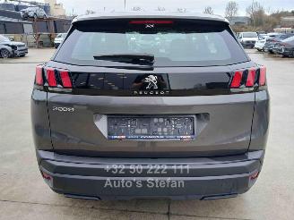 Peugeot 3008 ACTIVE picture 5