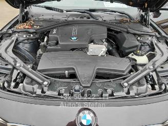 BMW 4-serie I picture 31