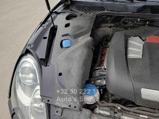 Porsche Cayenne S E-HYBRID picture 15