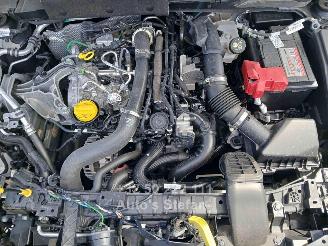 Nissan Juke BUSINESS ACCESS picture 34