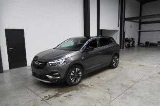 Auto incidentate Opel Grandland SUV 2019/9