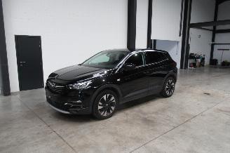 škoda osobní automobily Opel Grandland SUV 2020/9