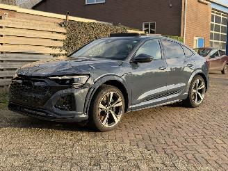 Audi SQ8 QUATTRO SPORTBACK E TRON 370 KW picture 17