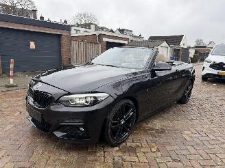 BMW 2-serie 218i M PAKKET CABRIO picture 23