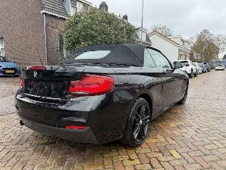 BMW 2-serie 218i M PAKKET CABRIO picture 10