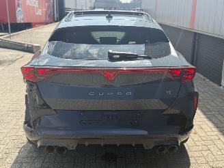 Cupra Formentor 2.0 VZ 245 KW AKRA  PANO SFEER picture 31